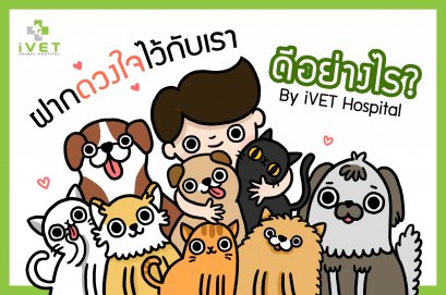 ฝากดวงใจไว้กับเรา